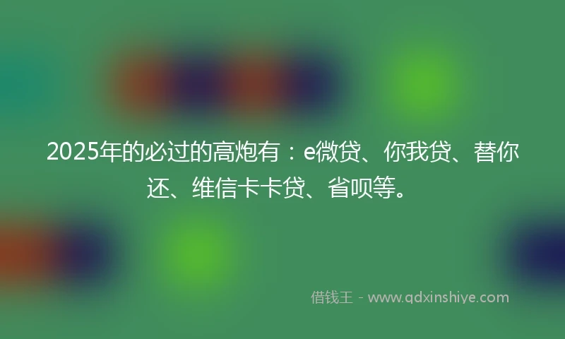 2025年的必过的高炮有：e微贷、你我贷、替你还、维信卡卡贷、省呗等。