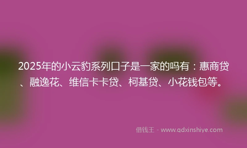 2025年的小云豹系列口子是一家的吗有：惠商贷、融逸花、维信卡卡贷、柯基贷、小花钱包等。