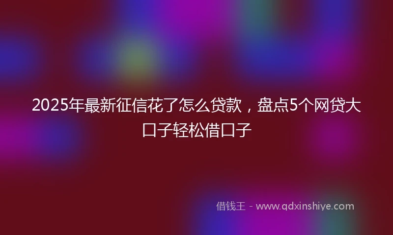 2025年最新征信花了怎么贷款，盘点5个网贷大口子轻松借口子