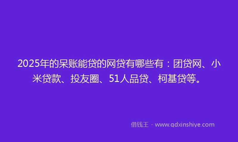 2025年的呆账能贷的网贷有哪些有：团贷网、小米贷款、投友圈、51人品贷、柯基贷等。