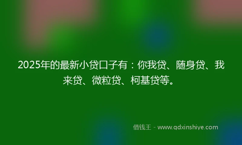 2025年的最新小贷口子有：你我贷、随身贷、我来贷、微粒贷、柯基贷等。