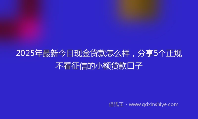 2025年最新今日现金贷款怎么样，分享5个正规不看征信的小额贷款口子