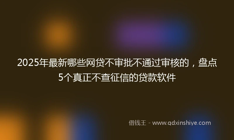 2025年最新哪些网贷不审批不通过审核的，盘点5个真正不查征信的贷款软件