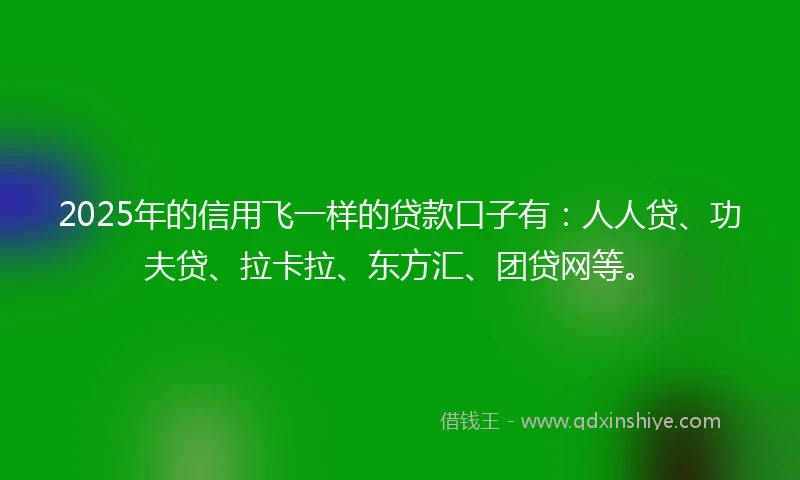 2025年的信用飞一样的贷款口子有：人人贷、功夫贷、拉卡拉、东方汇、团贷网等。