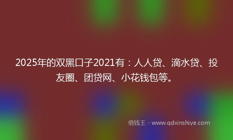 2025年的双黑口子2021有：人人贷、滴水贷、投友圈、团贷网、小花钱包等。