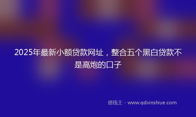 2025年最新小额贷款网址，整合五个黑白贷款不是高炮的口子