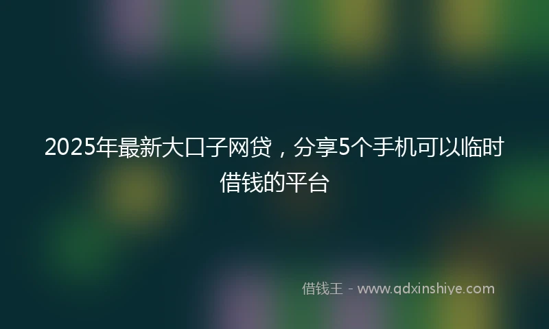 2025年最新大口子网贷，分享5个手机可以临时借钱的平台