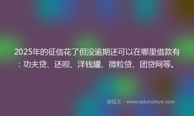 2025年的征信花了但没逾期还可以在哪里借款有：功夫贷、还呗、洋钱罐、微粒贷、团贷网等。