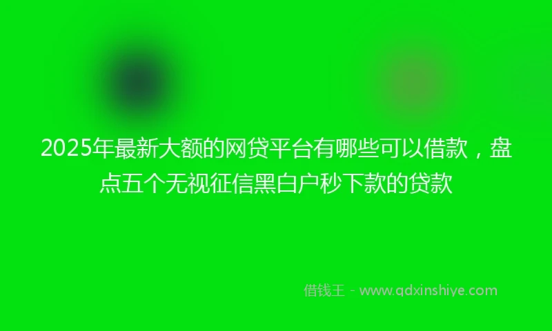 2025年最新大额的网贷平台有哪些可以借款，盘点五个无视征信黑白户秒下款的贷款
