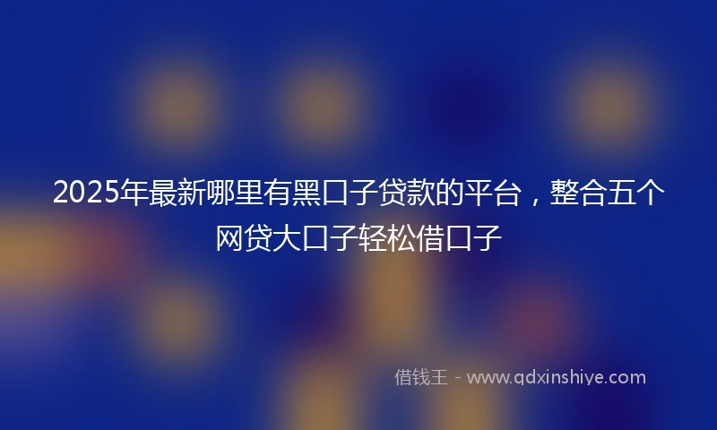 2025年最新哪里有黑口子贷款的平台，整合五个网贷大口子轻松借口子