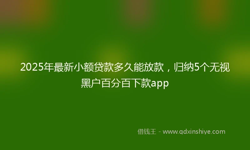 2025年最新小额贷款多久能放款，归纳5个无视黑户百分百下款app