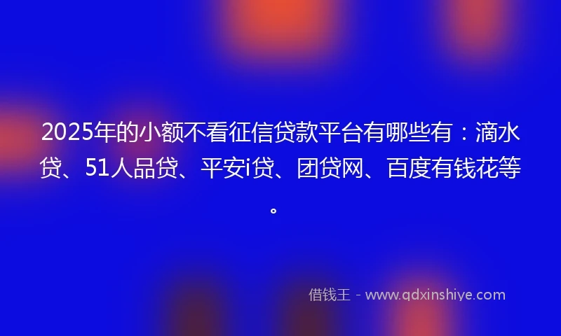 2025年的小额不看征信贷款平台有哪些有：滴水贷、51人品贷、平安i贷、团贷网、百度有钱花等。
