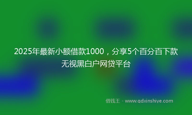2025年最新小额借款1000，分享5个百分百下款无视黑白户网贷平台