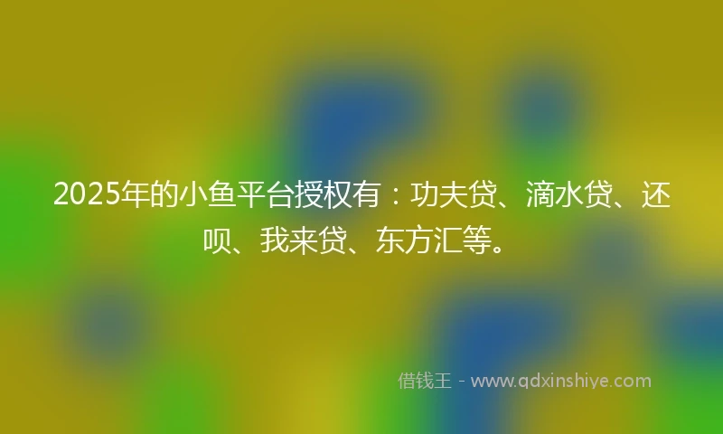 2025年的小鱼平台授权有：功夫贷、滴水贷、还呗、我来贷、东方汇等。