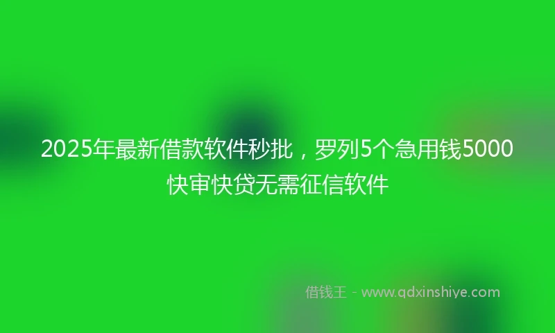 2025年最新借款软件秒批，罗列5个急用钱5000快审快贷无需征信软件