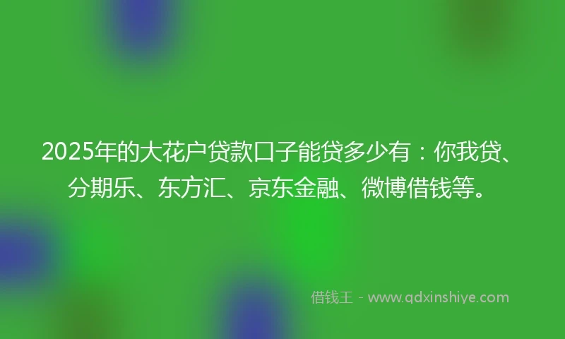 2025年的大花户贷款口子能贷多少有：你我贷、分期乐、东方汇、京东金融、微博借钱等。