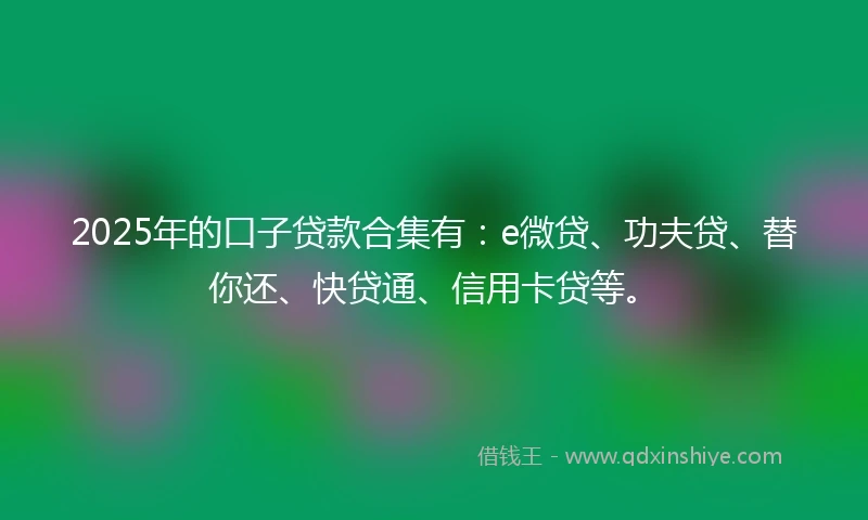 2025年的口子贷款合集有：e微贷、功夫贷、替你还、快贷通、信用卡贷等。