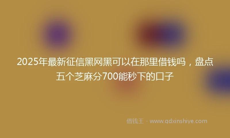 2025年最新征信黑网黑可以在那里借钱吗，盘点五个芝麻分700能秒下的口子