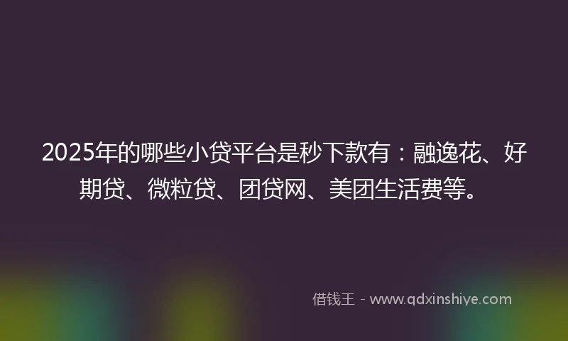2025年的哪些小贷平台是秒下款有：融逸花、好期贷、微粒贷、团贷网、美团生活费等。