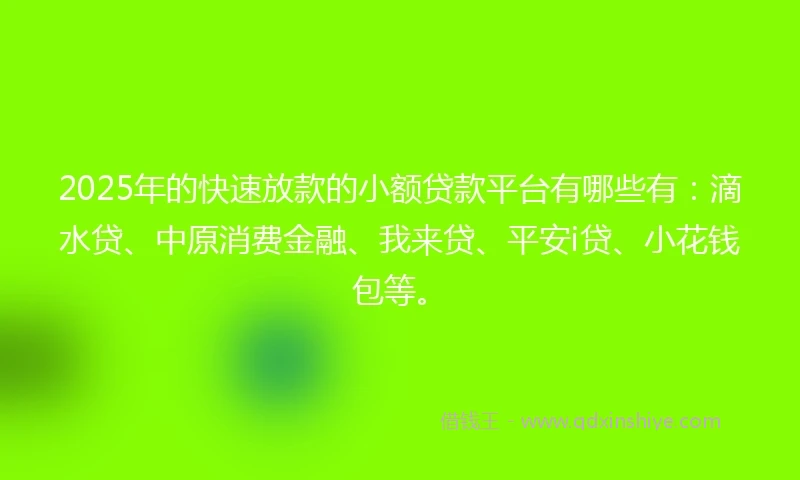 2025年的快速放款的小额贷款平台有哪些有：滴水贷、中原消费金融、我来贷、平安i贷、小花钱包等。