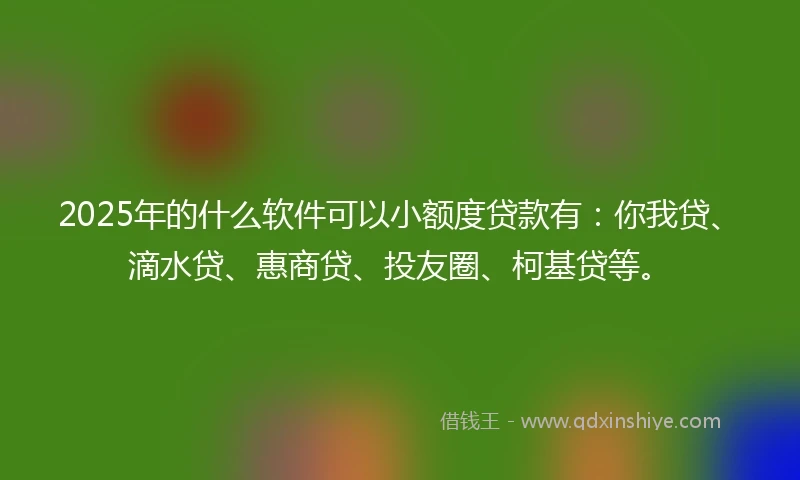 2025年的什么软件可以小额度贷款有：你我贷、滴水贷、惠商贷、投友圈、柯基贷等。