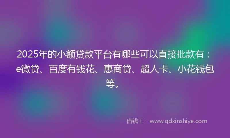 2025年的小额贷款平台有哪些可以直接批款有：e微贷、百度有钱花、惠商贷、超人卡、小花钱包等。