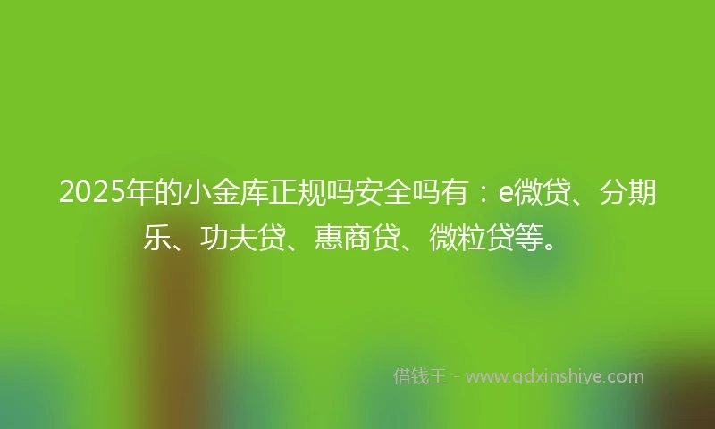 2025年的小金库正规吗安全吗有：e微贷、分期乐、功夫贷、惠商贷、微粒贷等。