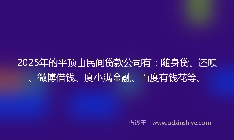 2025年的平顶山民间贷款公司有：随身贷、还呗、微博借钱、度小满金融、百度有钱花等。