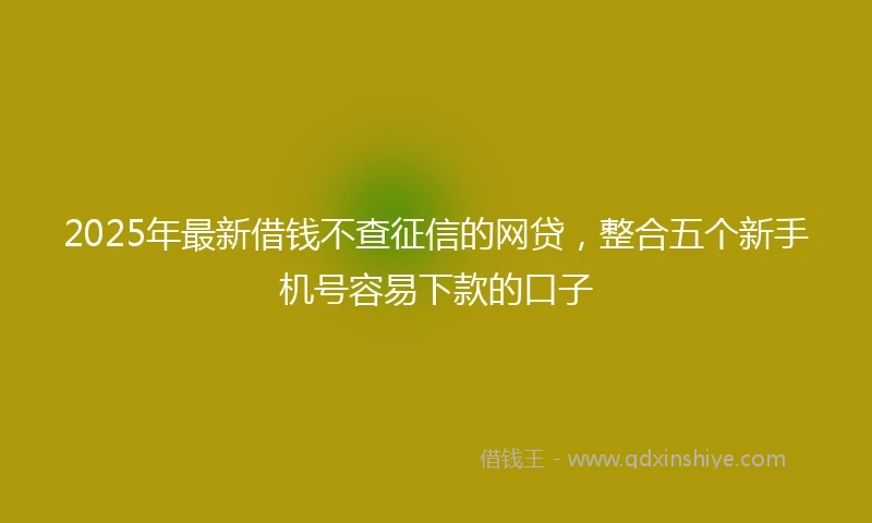 2025年最新借钱不查征信的网贷，整合五个新手机号容易下款的口子
