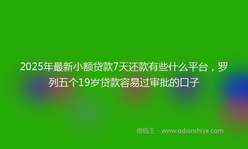 2025年最新小额贷款7天还款有些什么平台，罗列五个19岁贷款容易过审批的口子