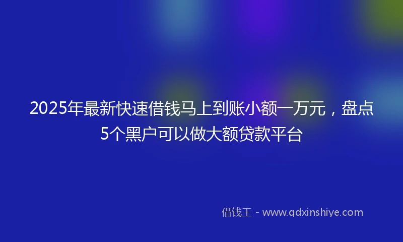 2025年最新快速借钱马上到账小额一万元，盘点5个黑户可以做大额贷款平台