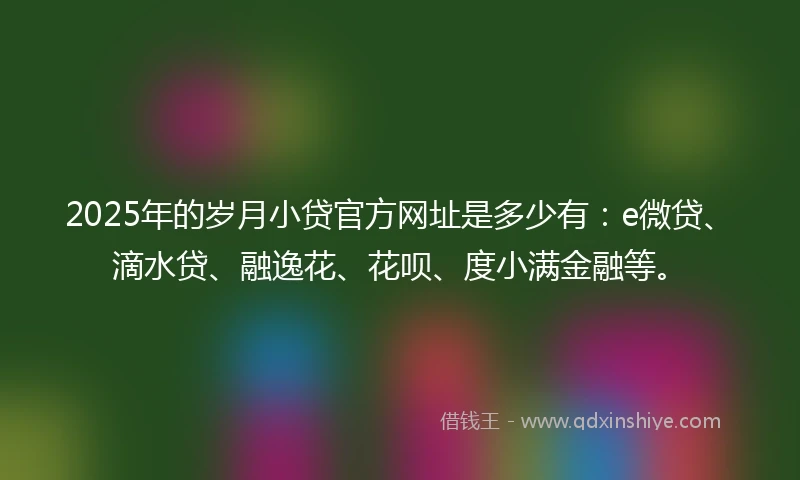 2025年的岁月小贷官方网址是多少有：e微贷、滴水贷、融逸花、花呗、度小满金融等。