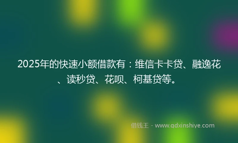 2025年的快速小额借款有：维信卡卡贷、融逸花、读秒贷、花呗、柯基贷等。