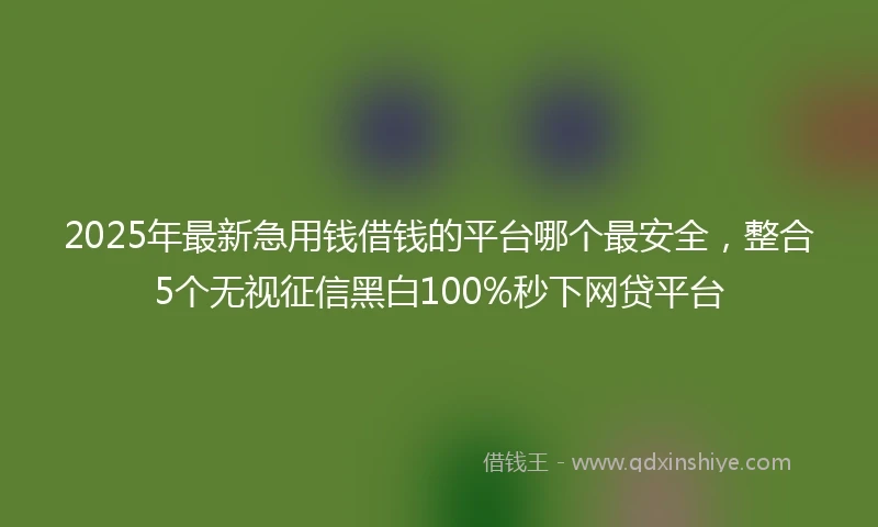 2025年最新急用钱借钱的平台哪个最安全，整合5个无视征信黑白100%秒下网贷平台