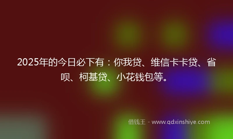 2025年的今日必下有：你我贷、维信卡卡贷、省呗、柯基贷、小花钱包等。