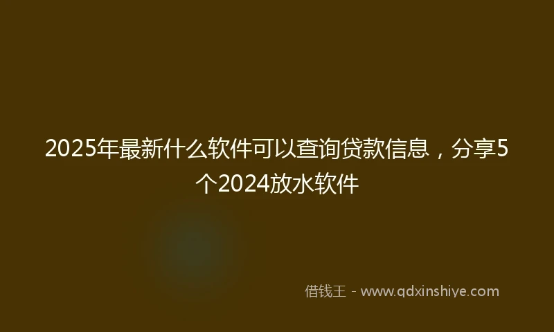 2025年最新什么软件可以查询贷款信息，分享5个2024放水软件
