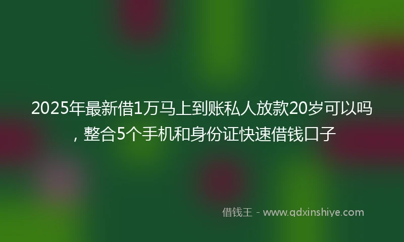 2025年最新借1万马上到账私人放款20岁可以吗，整合5个手机和身份证快速借钱口子