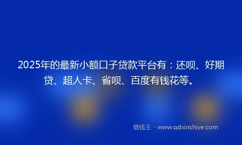 2025年的最新小额口子贷款平台有：还呗、好期贷、超人卡、省呗、百度有钱花等。
