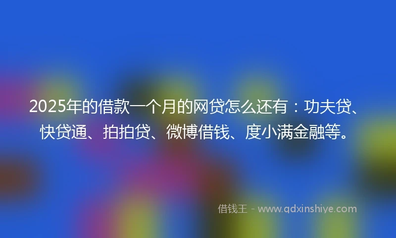 2025年的借款一个月的网贷怎么还有:功夫贷、快贷通、拍拍贷、微博借钱、度小满金融等。
