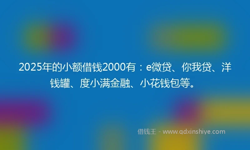 2025年的小额借钱2000有：e微贷、你我贷、洋钱罐、度小满金融、小花钱包等。