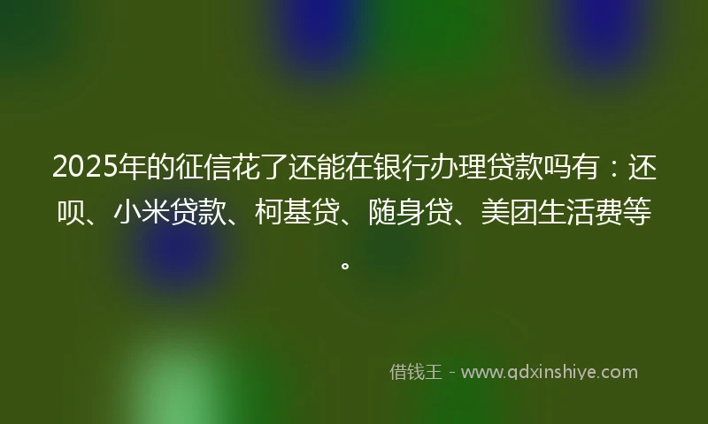 2025年的征信花了还能在银行办理贷款吗有：还呗、小米贷款、柯基贷、随身贷、美团生活费等。