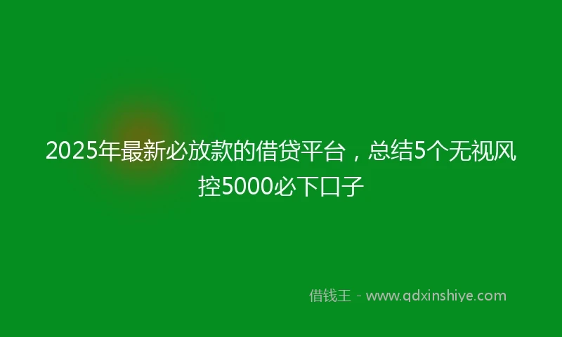 2025年最新必放款的借贷平台，总结5个无视风控5000必下口子
