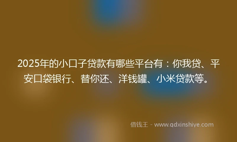 2025年的小口子贷款有哪些平台有：你我贷、平安口袋银行、替你还、洋钱罐、小米贷款等。