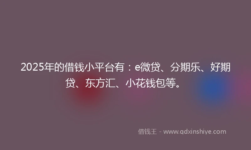 2025年的借钱小平台有：e微贷、分期乐、好期贷、东方汇、小花钱包等。