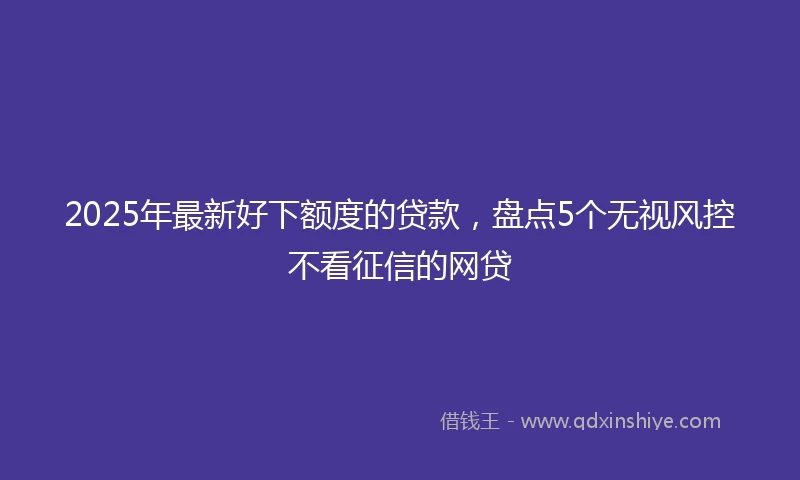 2025年最新好下额度的贷款，盘点5个无视风控不看征信的网贷