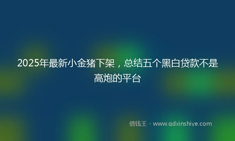 2025年最新小金猪下架，总结五个黑白贷款不是高炮的平台