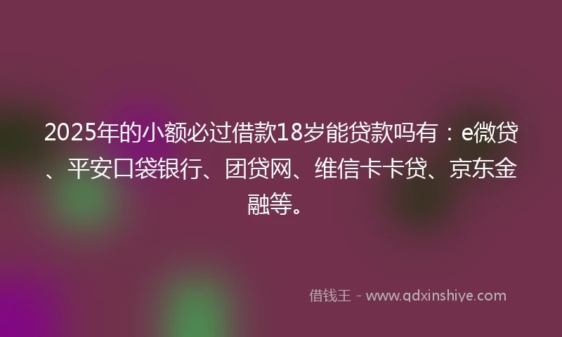 2025年的小额必过借款18岁能贷款吗有：e微贷、平安口袋银行、团贷网、维信卡卡贷、京东金融等。