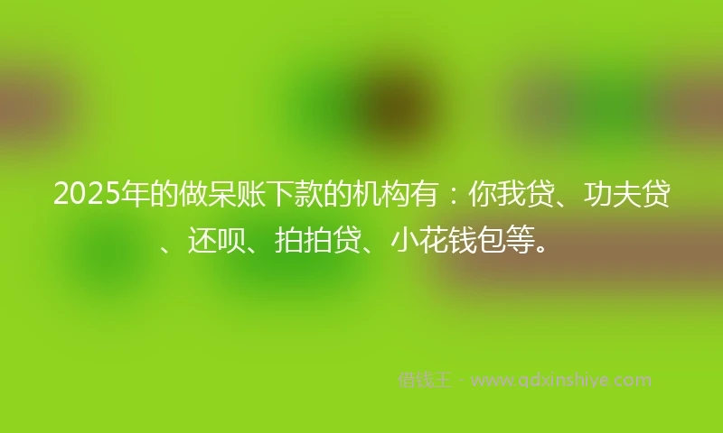 2025年的做呆账下款的机构有：你我贷、功夫贷、还呗、拍拍贷、小花钱包等。