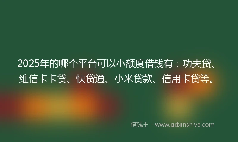 2025年的哪个平台可以小额度借钱有：功夫贷、维信卡卡贷、快贷通、小米贷款、信用卡贷等。