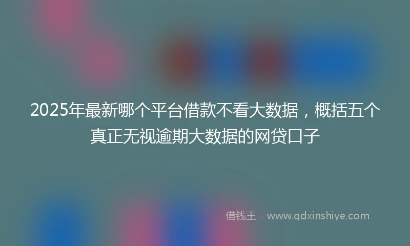 2025年最新哪个平台借款不看大数据，概括五个真正无视逾期大数据的网贷口子